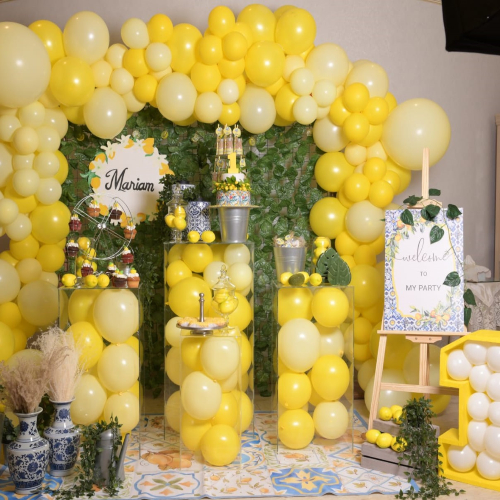 Dolce & Gabbana Theme