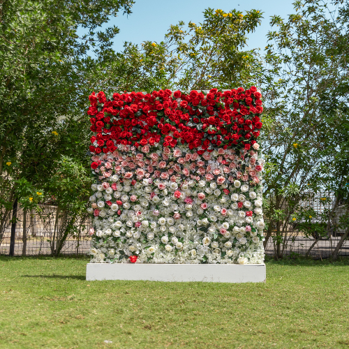 Ombre Wall