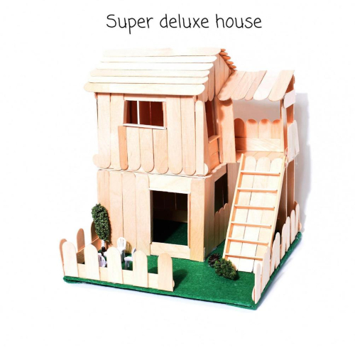 Super Deluxe House