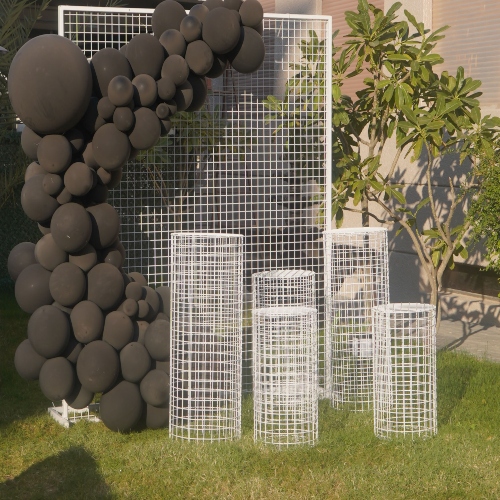 Mesh Wall with Organic Biodegradable Balloons