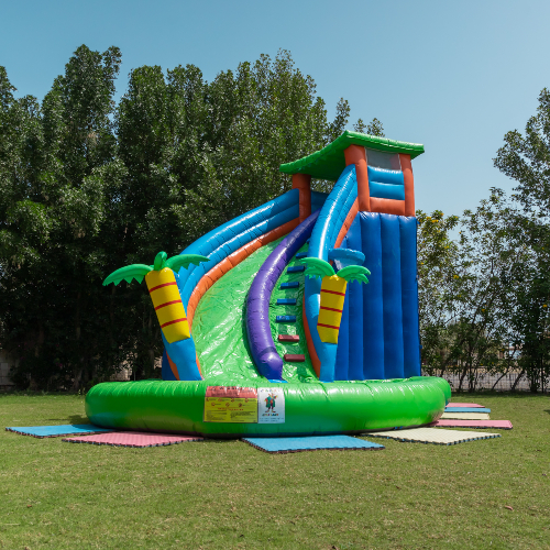Palm Tree Water Slide