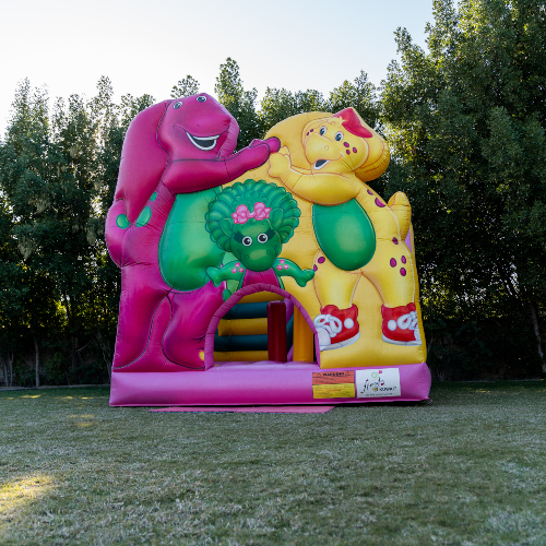Barney Bouncer