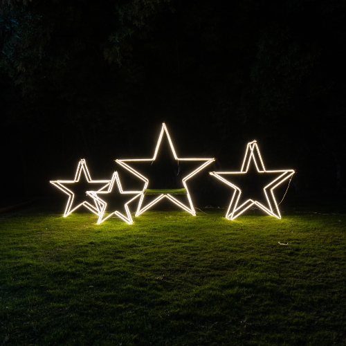 Luminous Stars