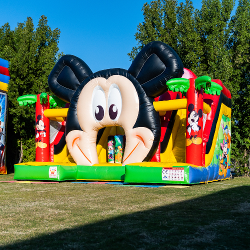 Mickey Bouncer