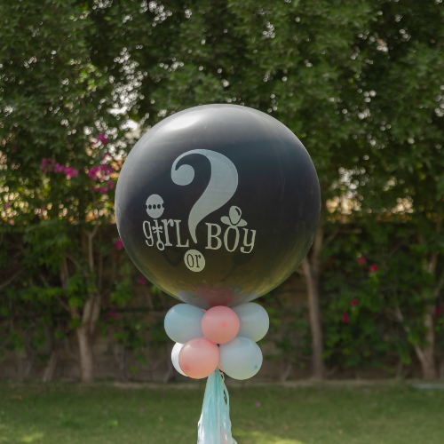 Gender Reveal Balloon