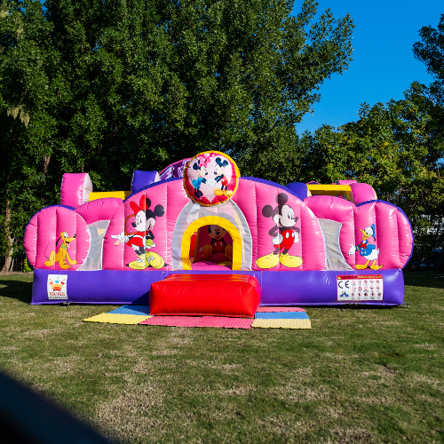 Mickey Park Bouncer