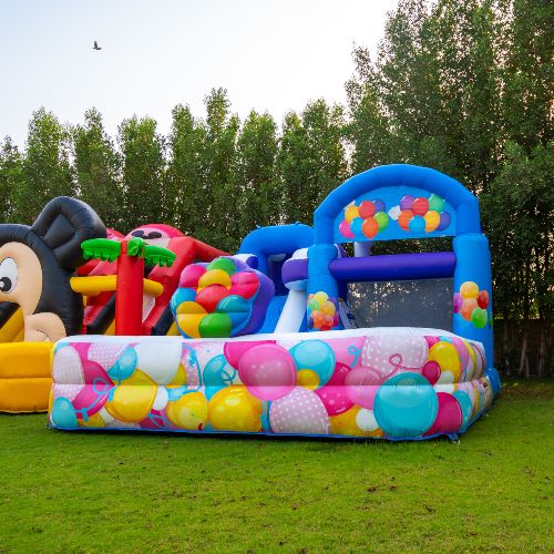 Balloons Water Bouncer