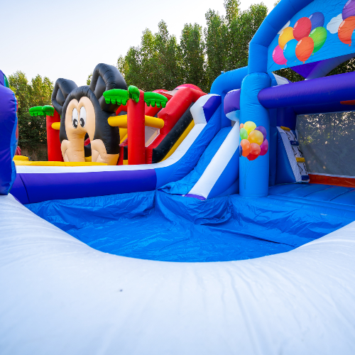 Balloons Water Bouncer