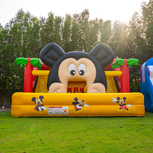 Mickey Mouse Water Bouncer
