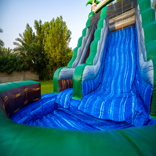 Oasis Water Slide