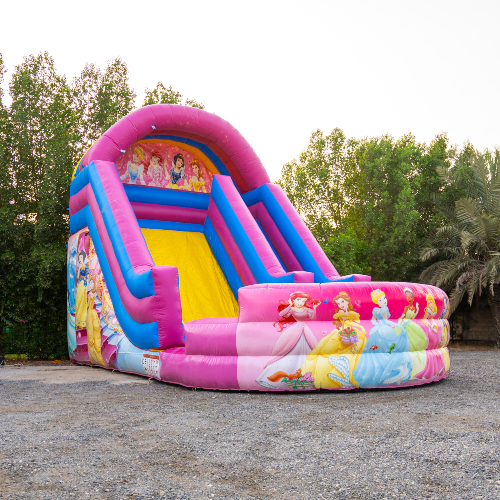 Disney Princess Water Slide