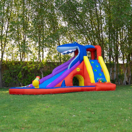Shark Water Slide