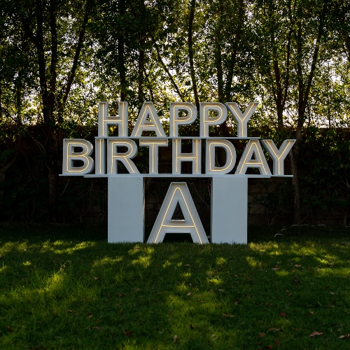Happy Birthday Warm White Neon & Letters