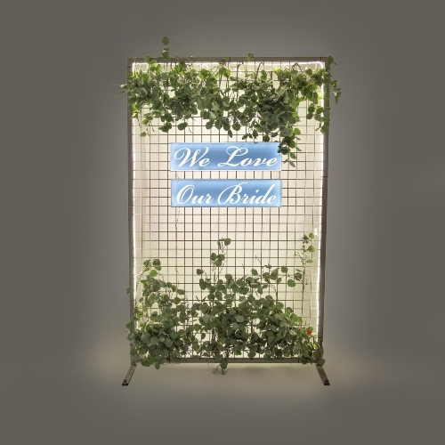 Silver Bridal Backdrop