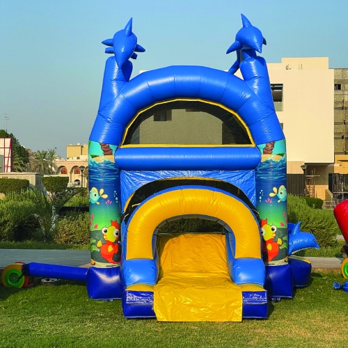 Dolphin Bouncy Castle (Wet or Dry)