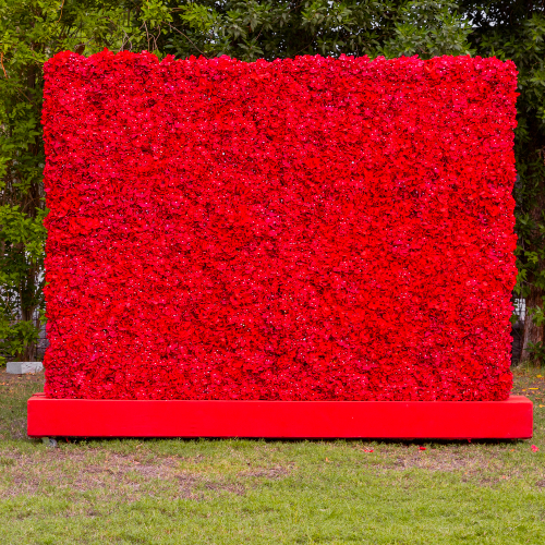The Red Roses Flower Wall