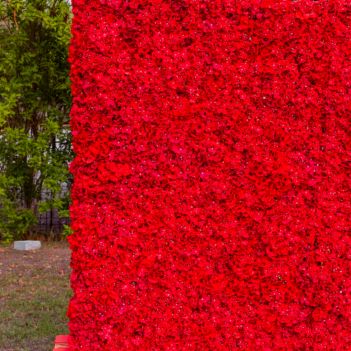 The Red Roses Flower Wall