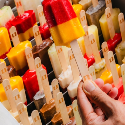 40 Pieces Mixed Ice Cream Freezer