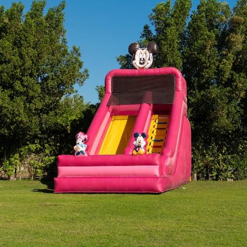 Mickey and Minnie Mouse Slide