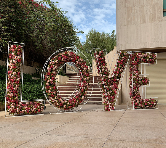 LOVE Backdrop
