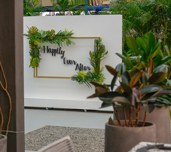 Tropical Frame Backdrop