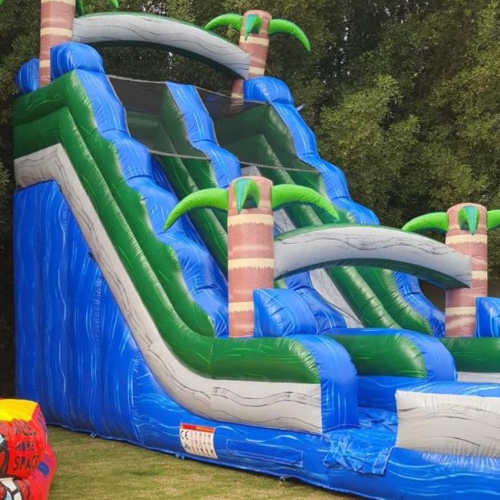 Water Slide - Palm