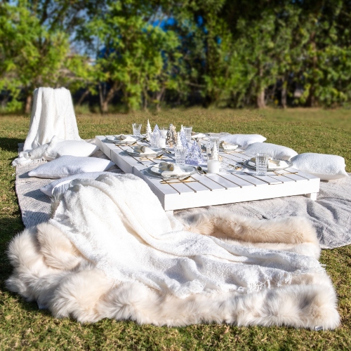 Winter Wonderland Picnic