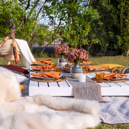 Ethno Picnic