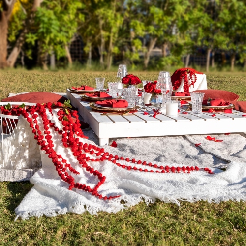 Be Mine Valentine Picnic