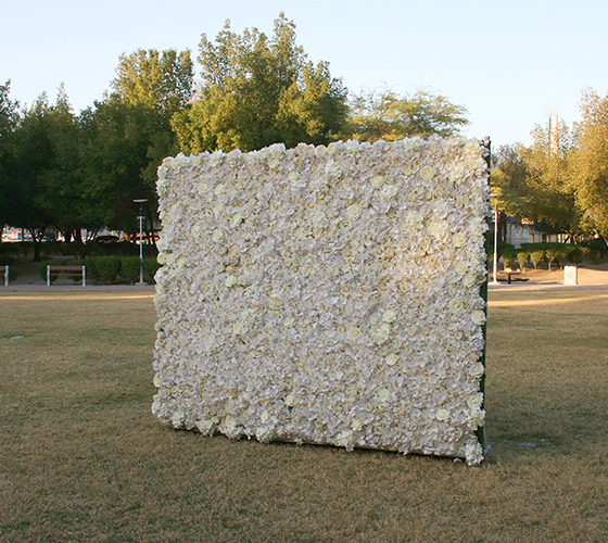 White Flower Wall