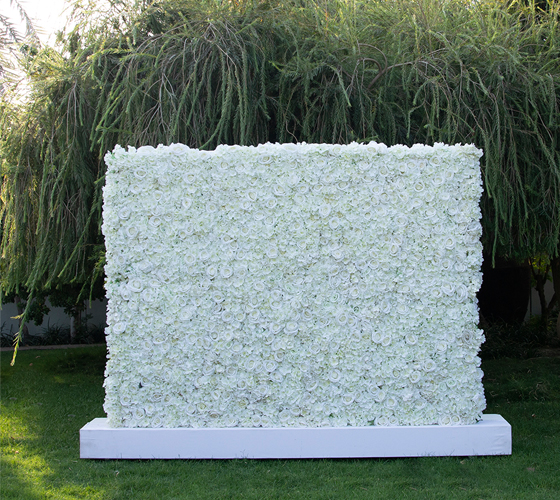 White Flower Wall