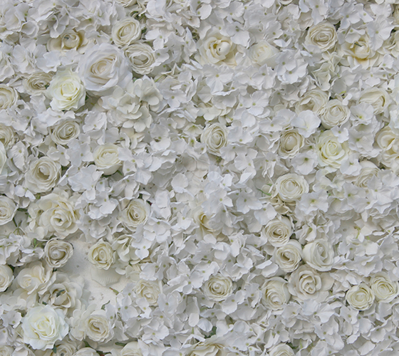 White Flower Wall