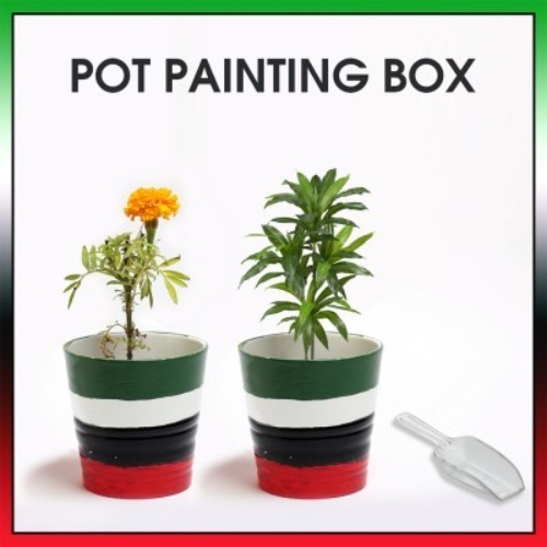Hala Feb Pot Painting & Planting Box