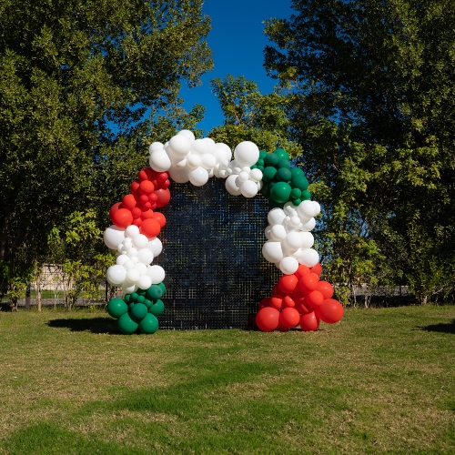 National Day Backdrop