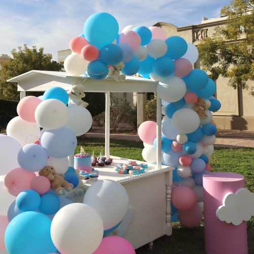 Gender Reveal Cart