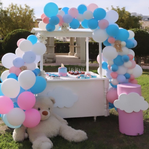 Gender Reveal Cart