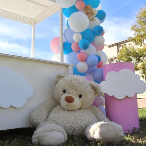 Gender Reveal Cart