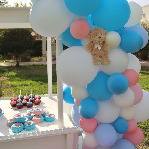 Gender Reveal Cart