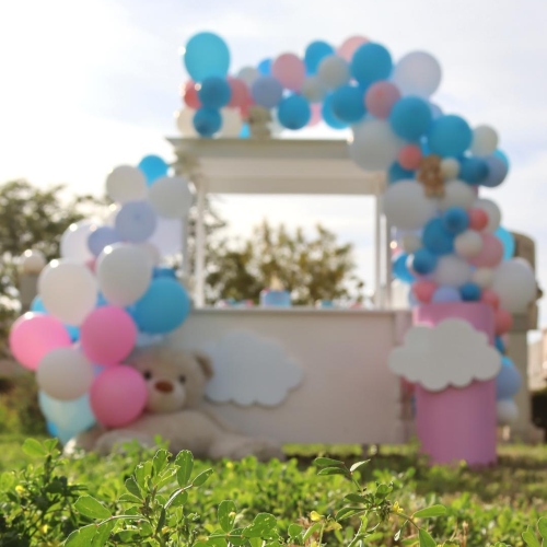 Gender Reveal Cart