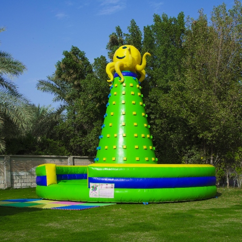 Octopus Climbing Wall