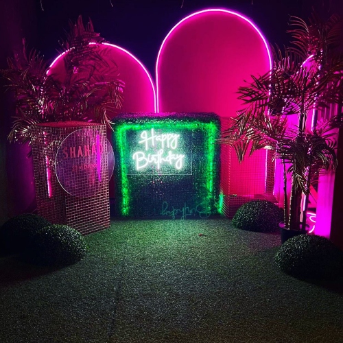 Pink Backdrop