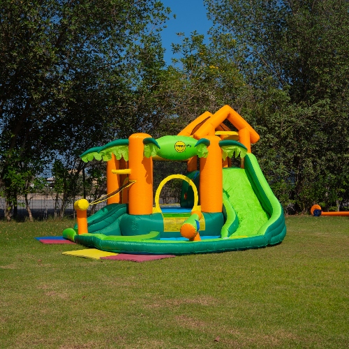 Mini Palm Tree Slide & Bouncer