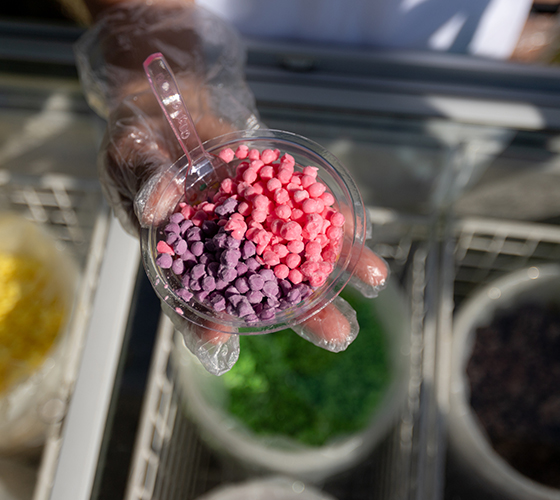 Mini Melts Station for 15-20 Persons