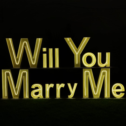 Will You Marry Me