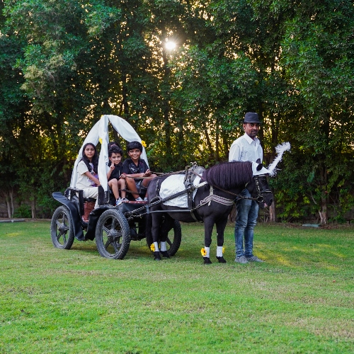Small Carriage Pony Ride