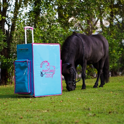 Pony Salon