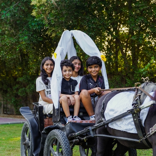 Pony Carriage & Ride