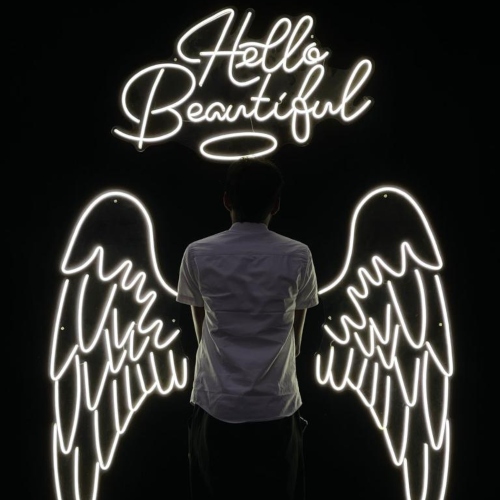 Wings Background
