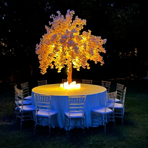 Light Tree Setup