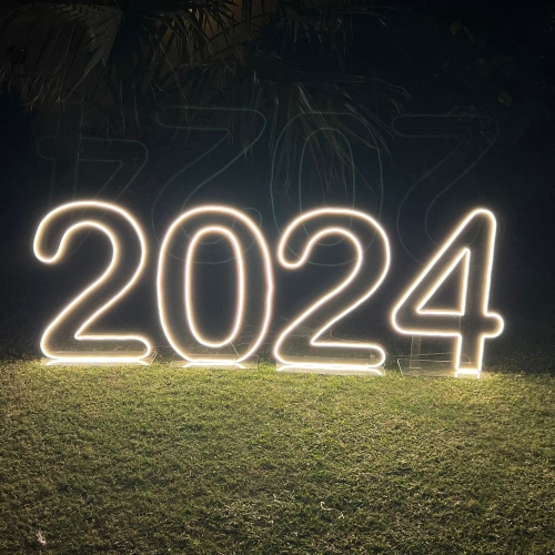 Festivity 2024 Acrylic & Neon